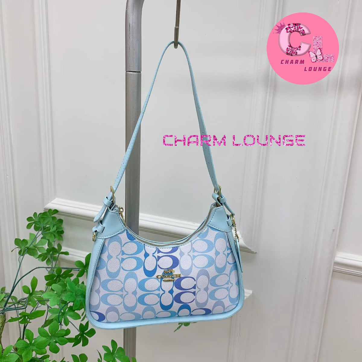 COACH Bags