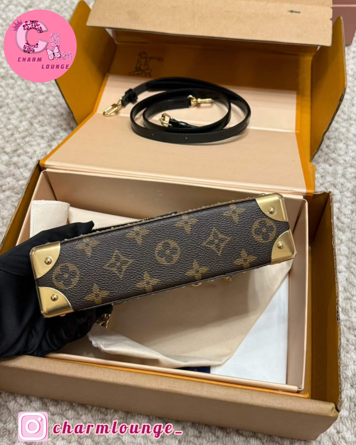 LV Vanity Pouch Trunk Signature Bag