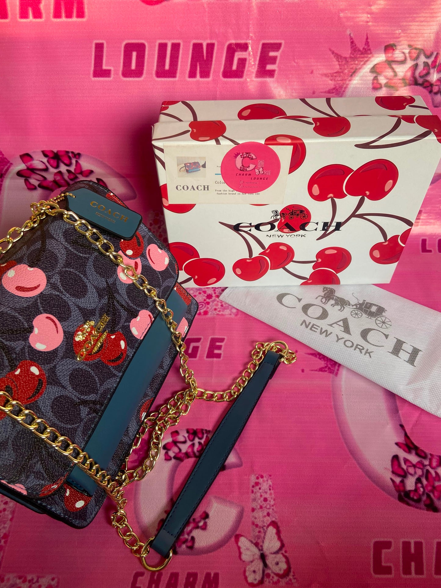 COACH Crossbody Bag