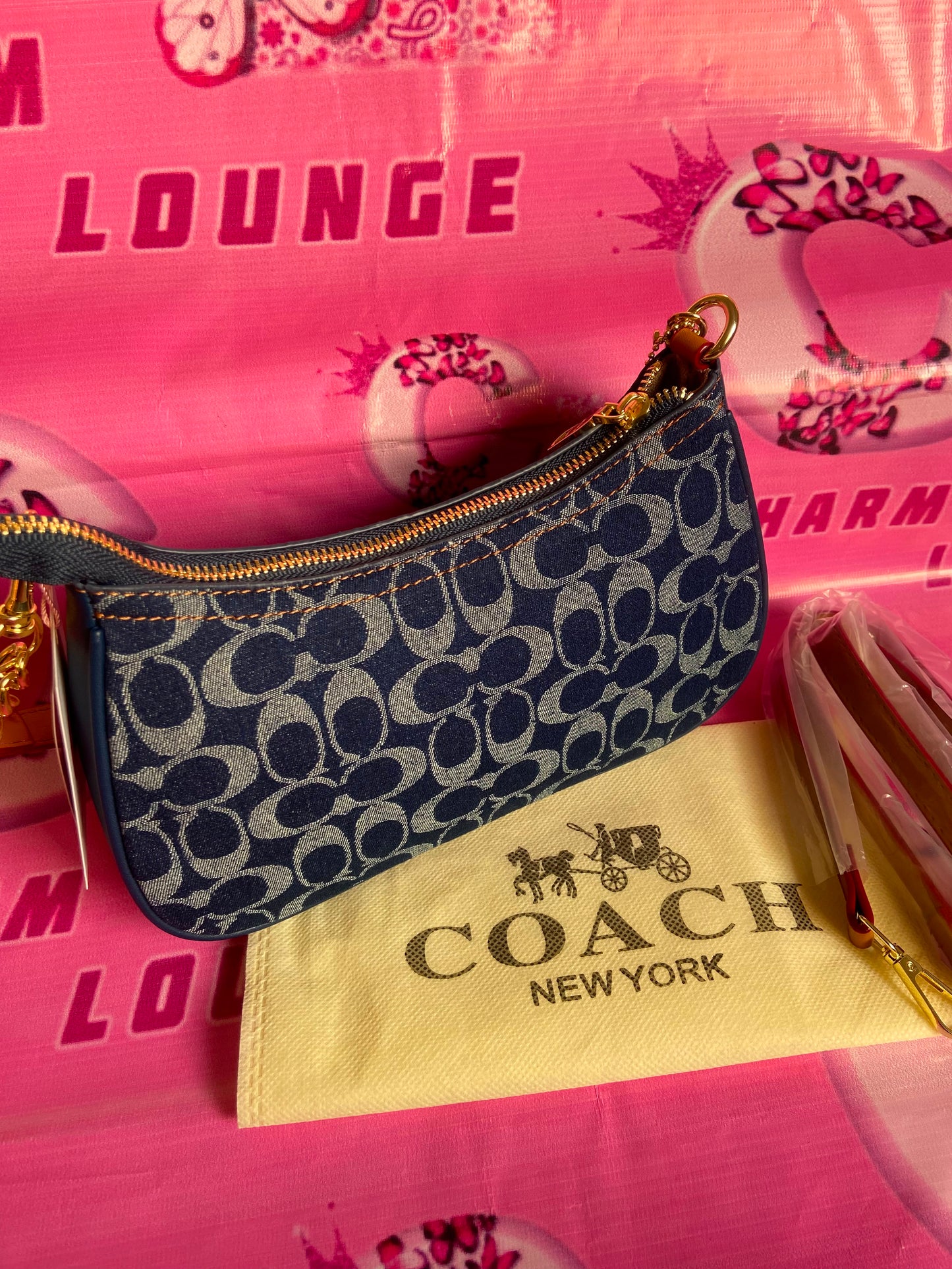Coach Teri Shoulder Bag in Signature Denim