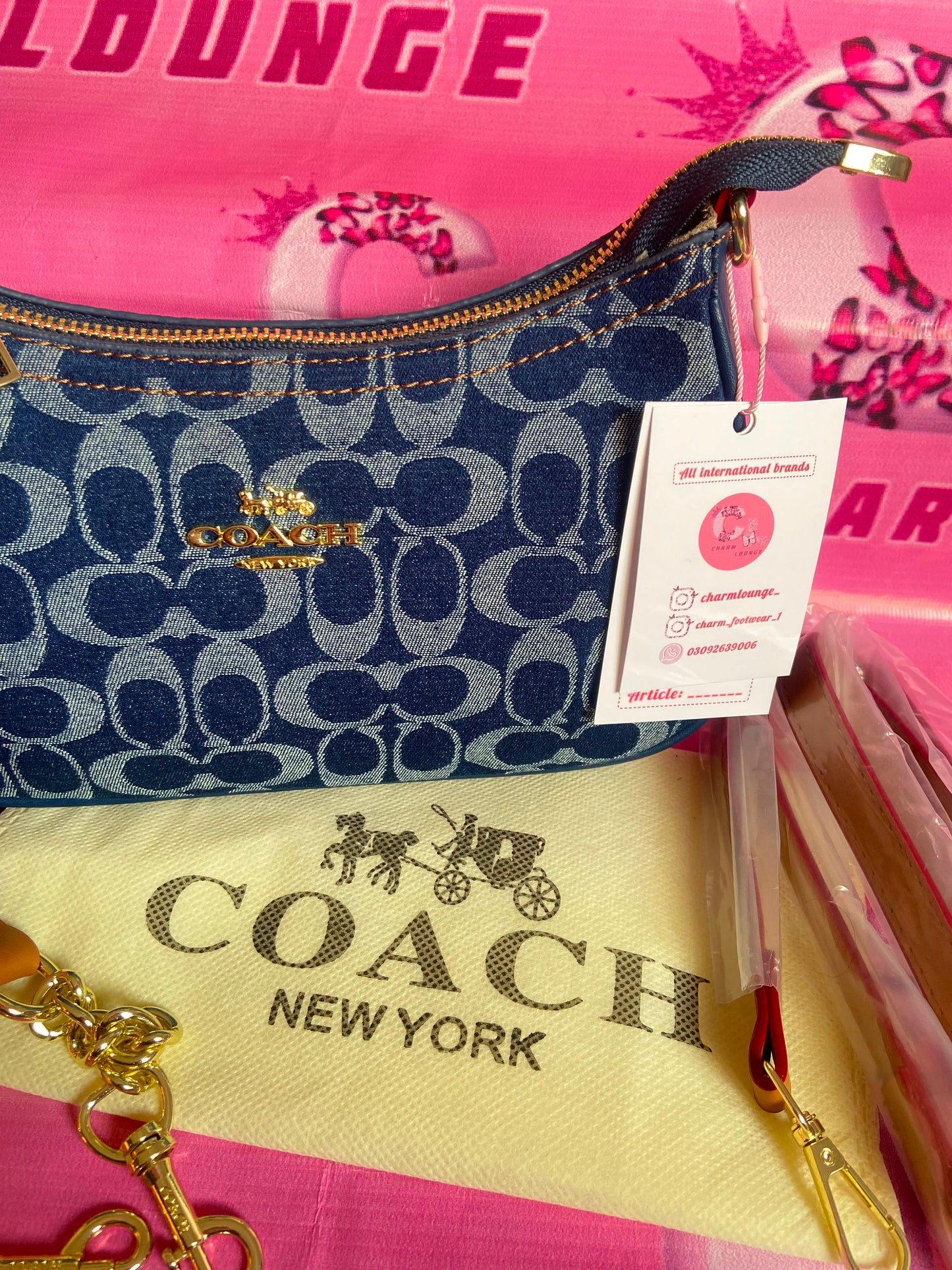 Coach Teri Shoulder Bag in Signature Denim