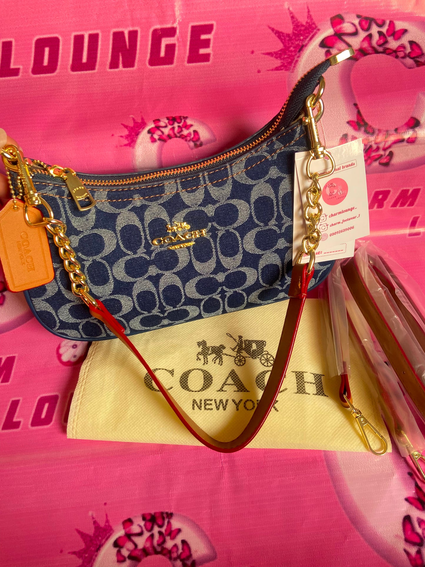 Coach Teri Shoulder Bag in Signature Denim