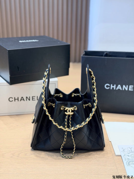 CHANEL 25 HOBO Bags
