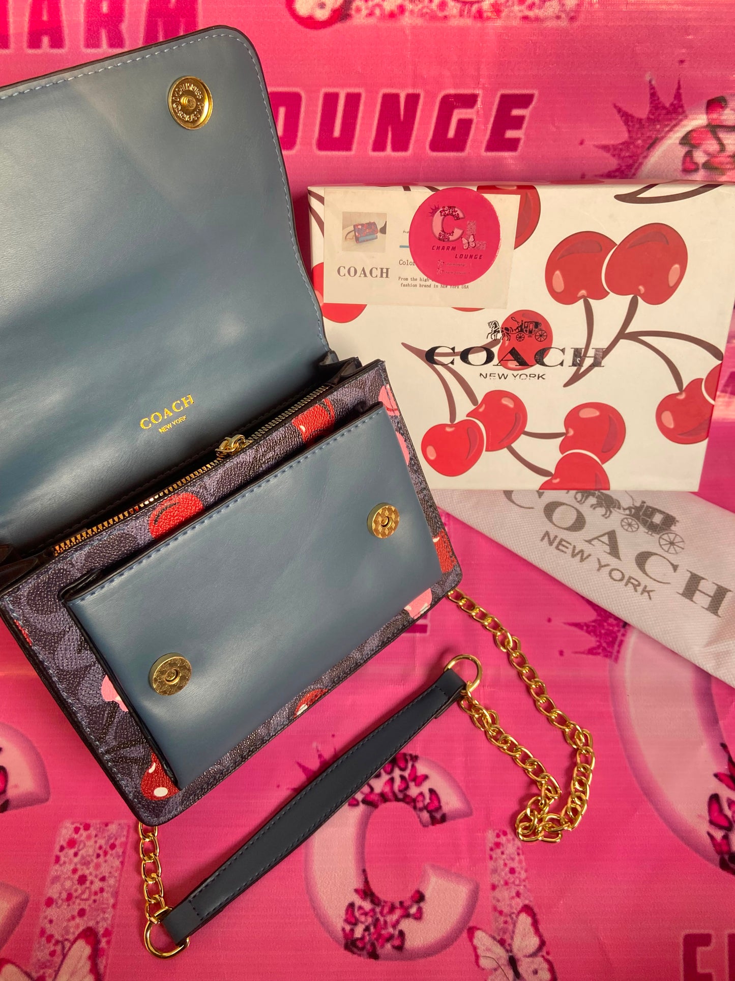 COACH Crossbody Bag