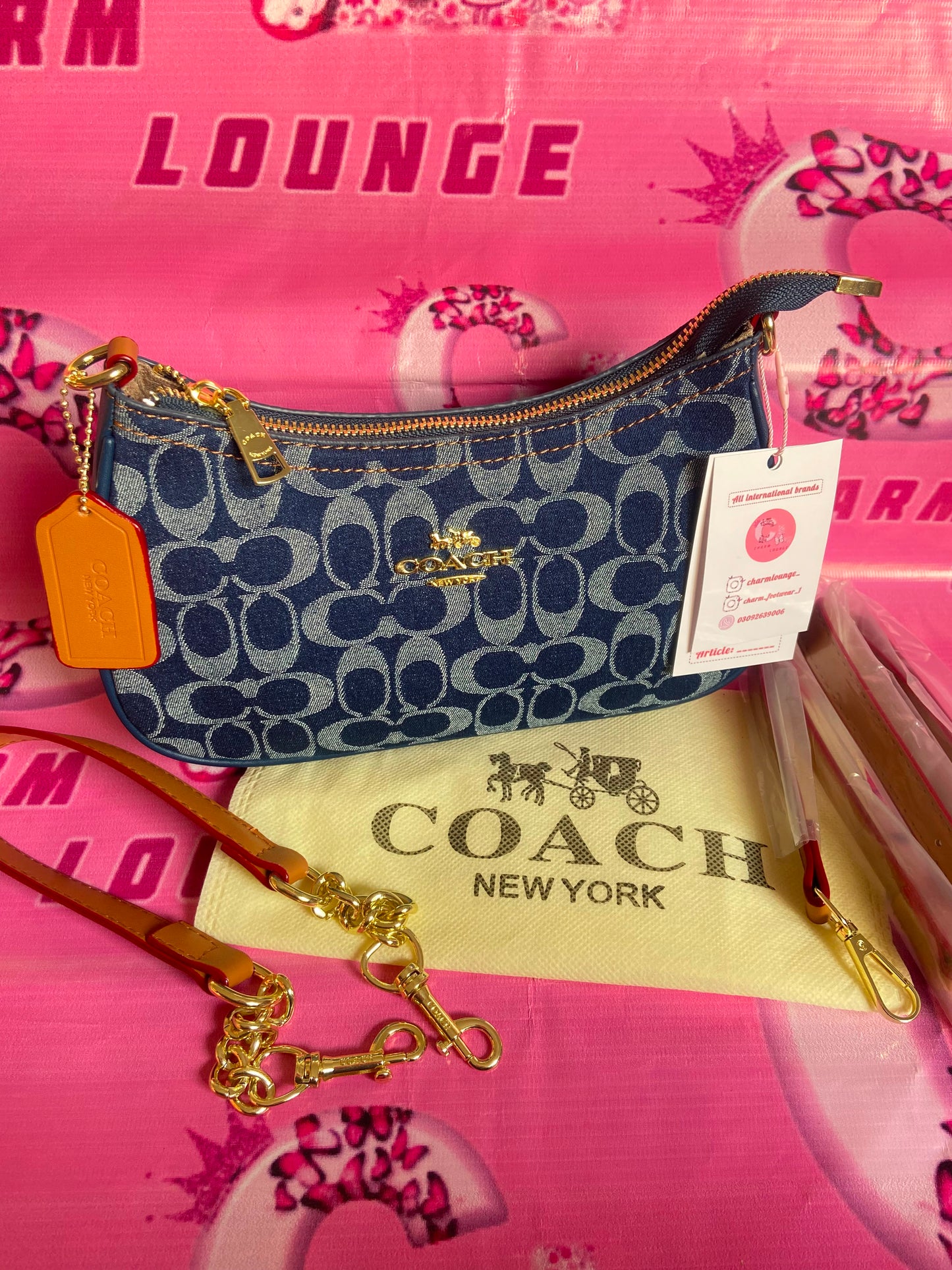 Coach Teri Shoulder Bag in Signature Denim
