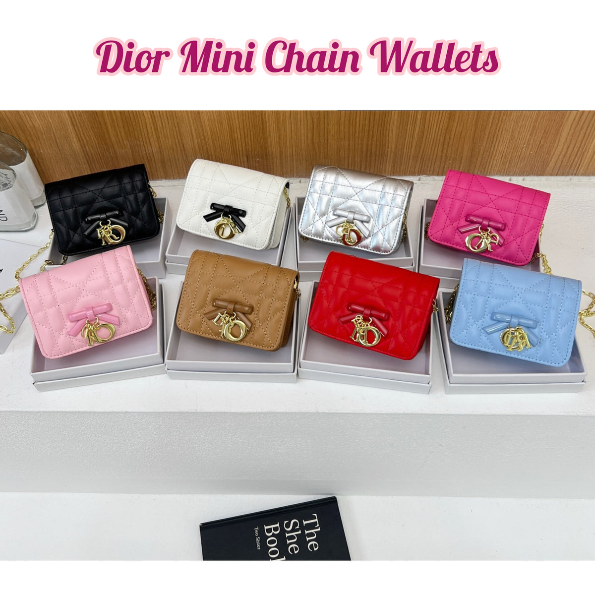 DIOR Mini Chain Wallets