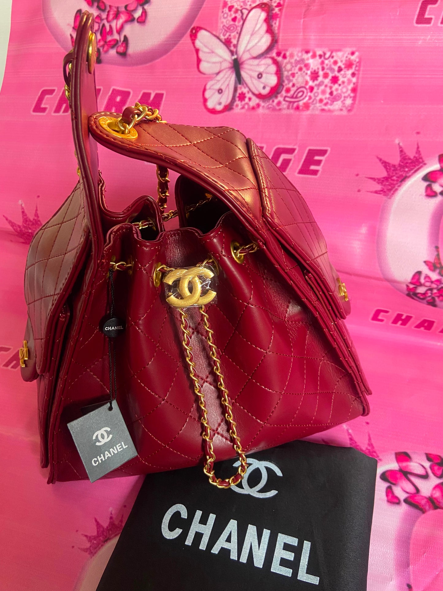 CHANEL Hobo 25 Bag