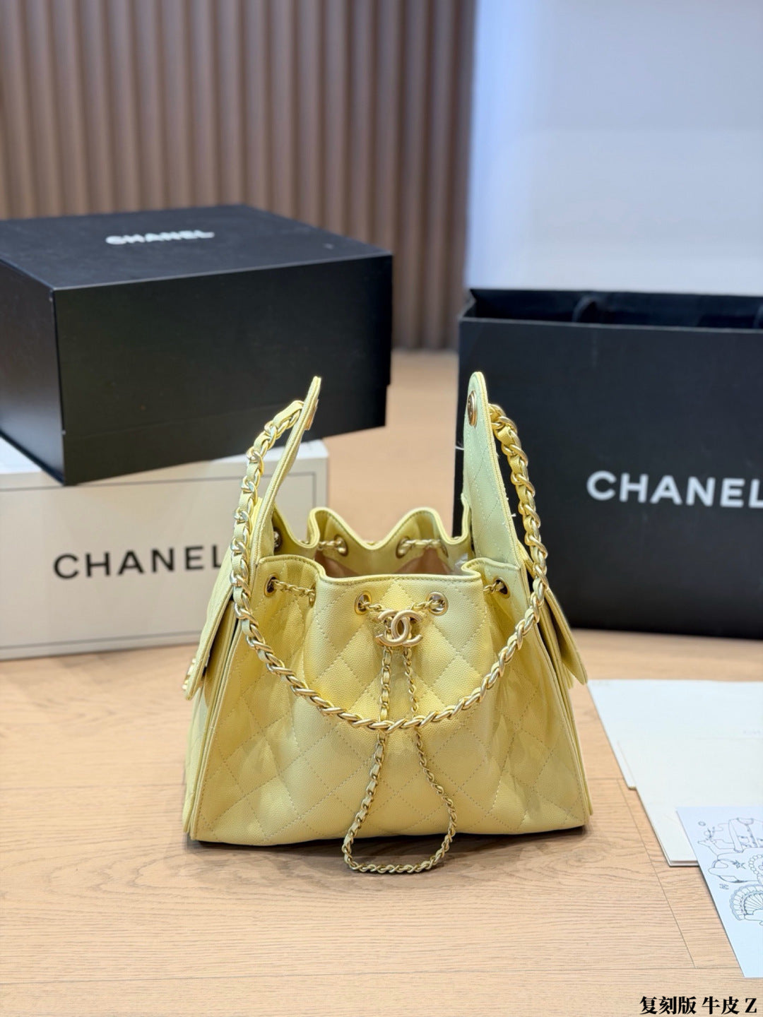CHANEL 25 HOBO Bags