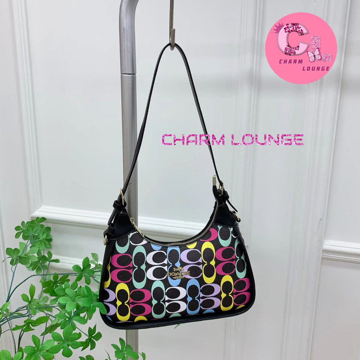 COACH Bags