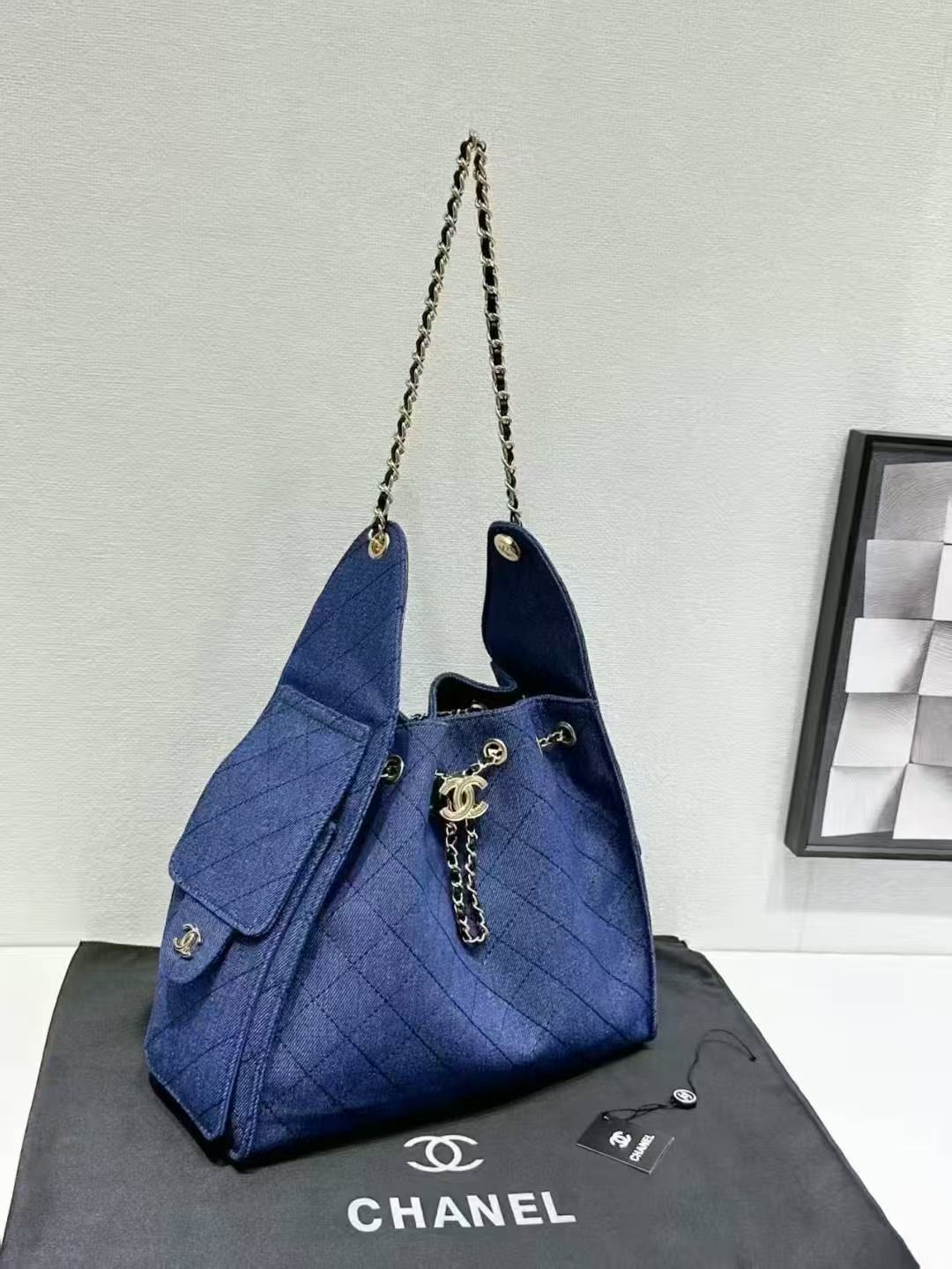 CHANEL Hobo 25 Bags