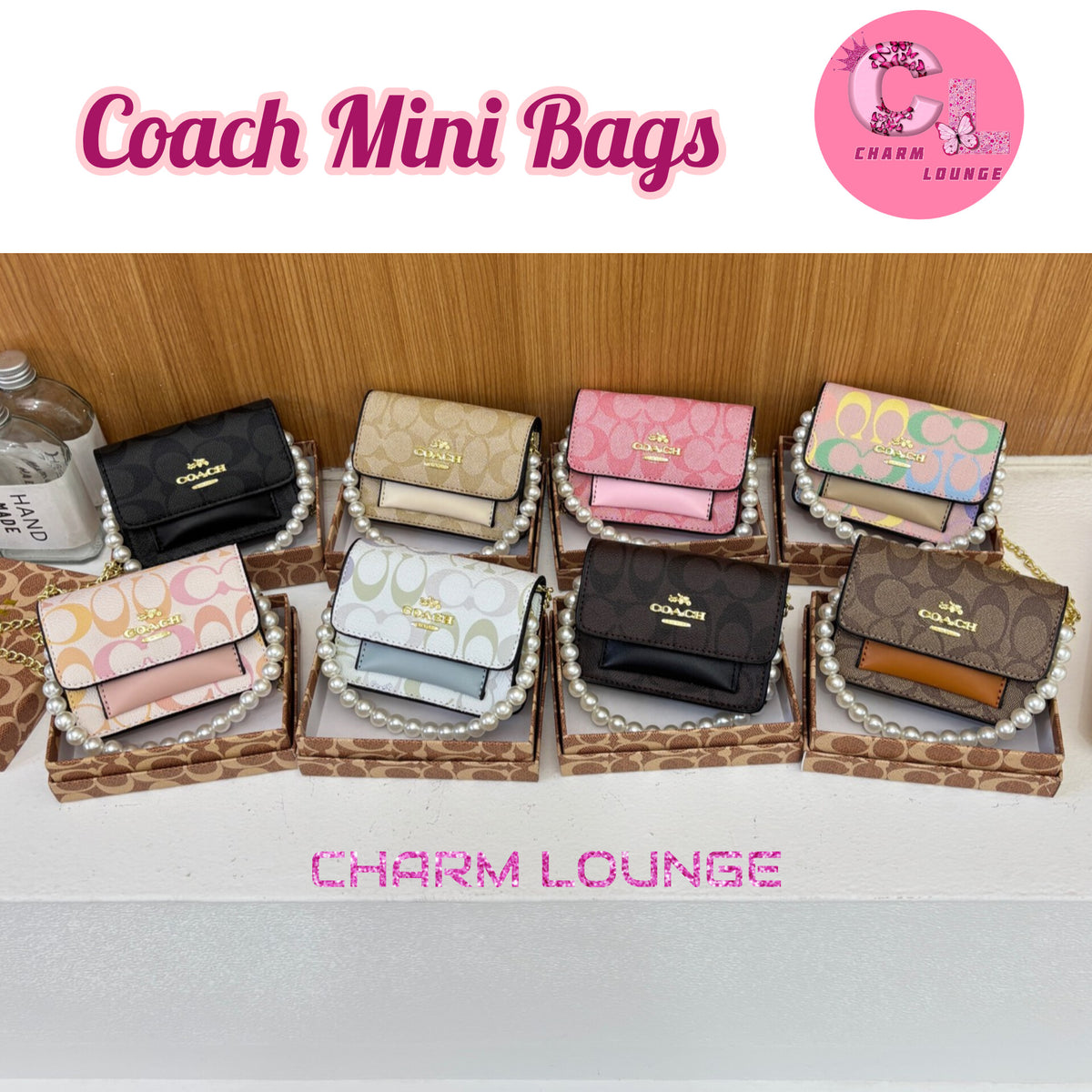 COACH Mini Bags