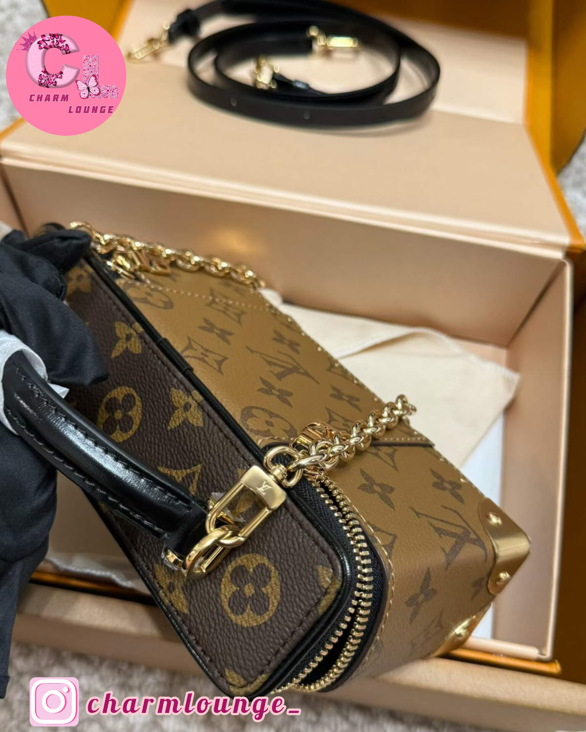 LV Vanity Pouch Trunk Signature Bag