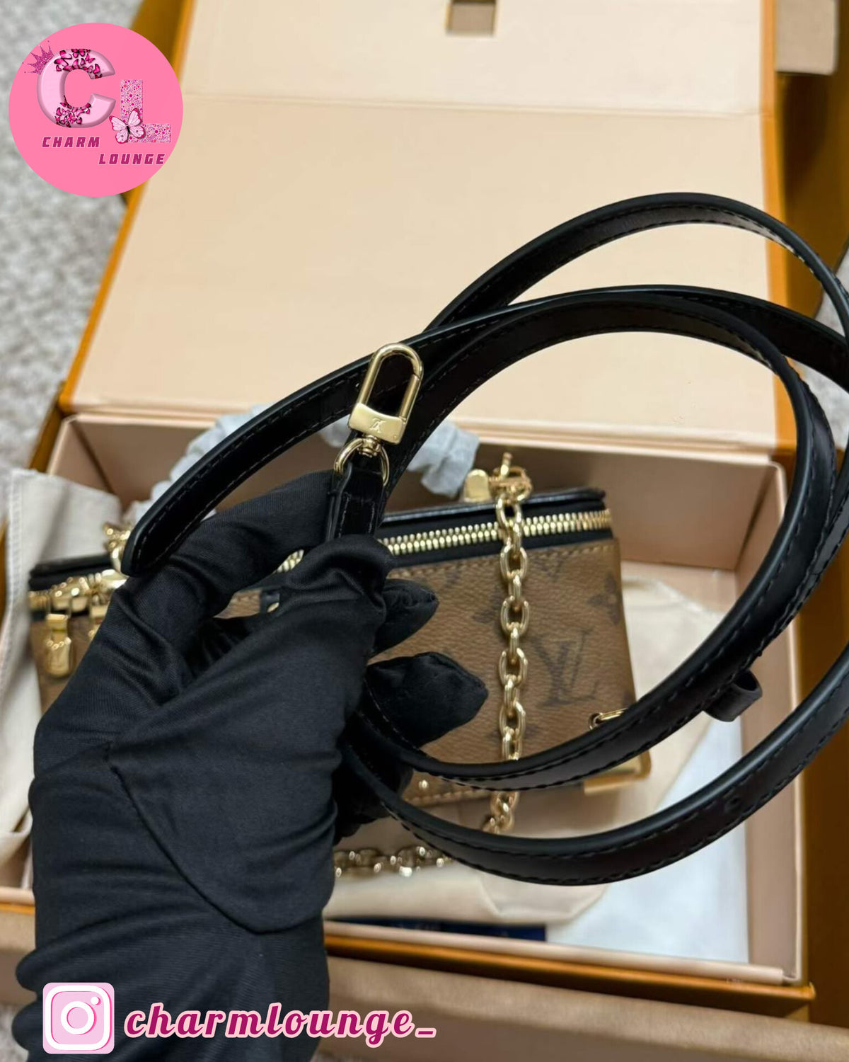 LV Vanity Pouch Trunk Signature Bag
