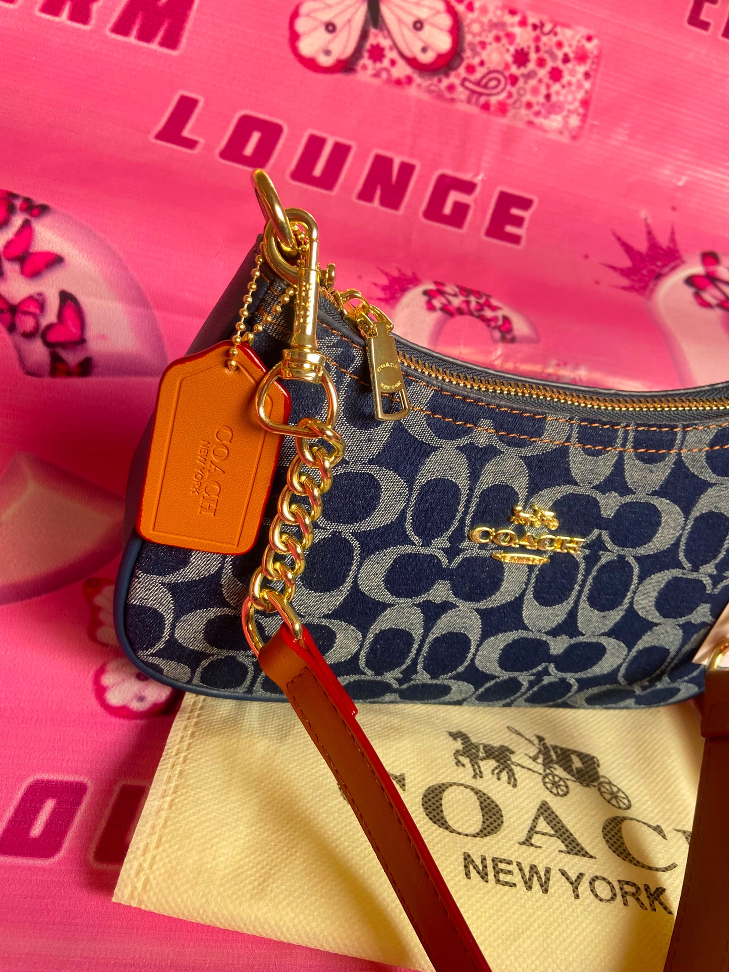Coach Teri Shoulder Bag in Signature Denim