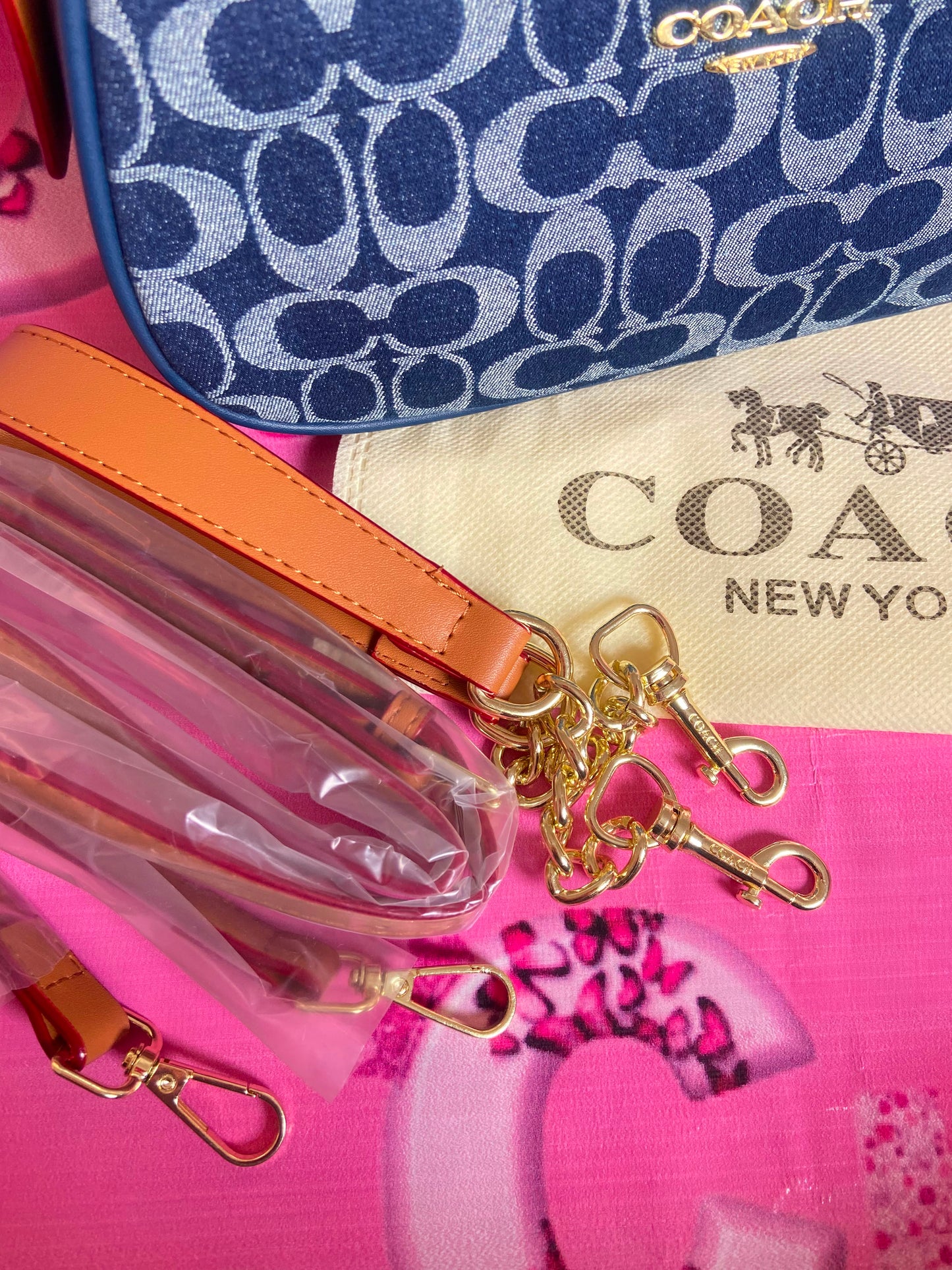 Coach Teri Shoulder Bag in Signature Denim