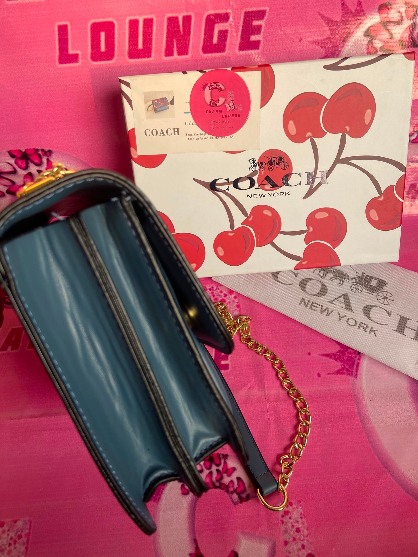 COACH Crossbody Bag