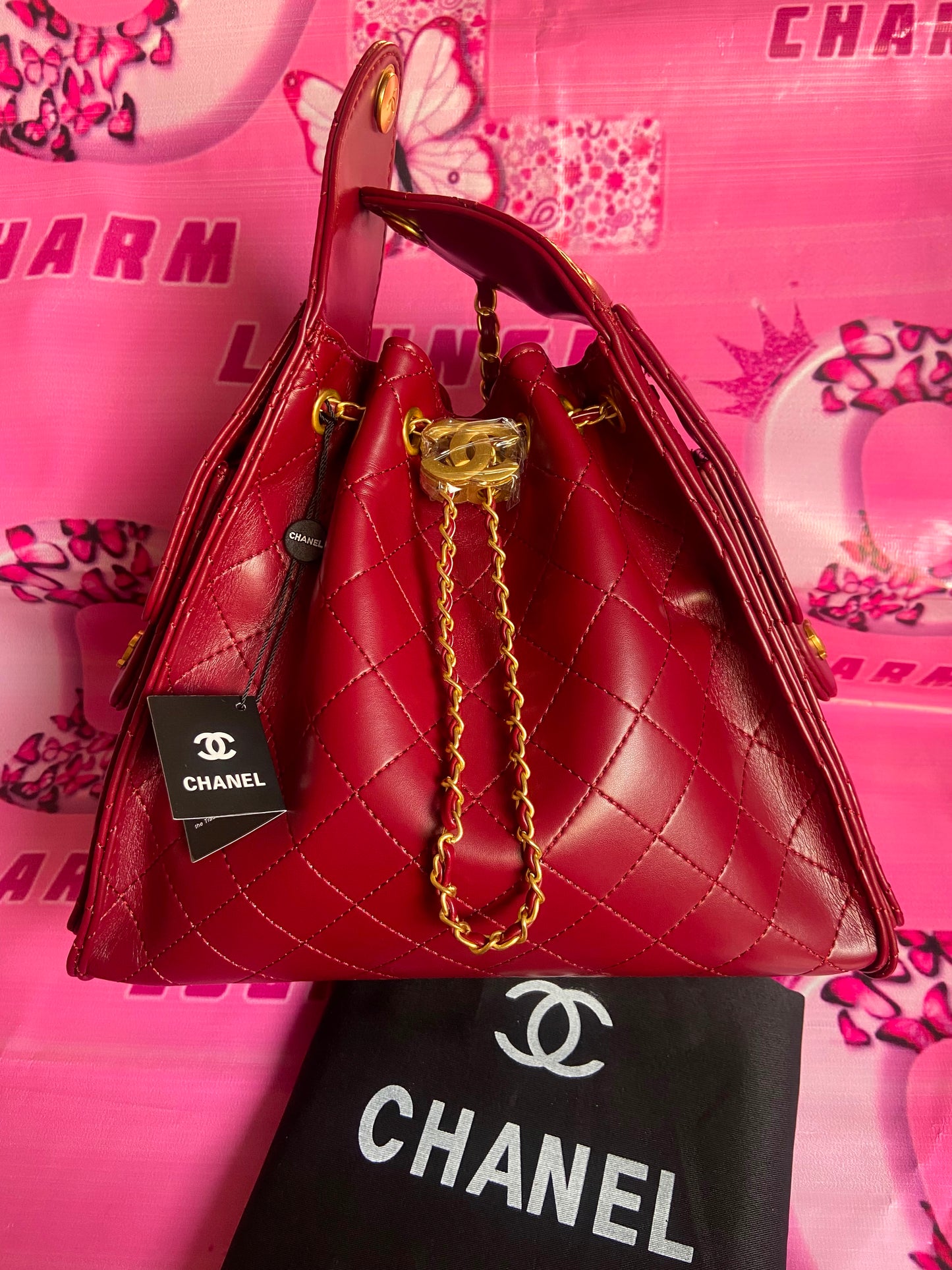 CHANEL Hobo 25 Bag