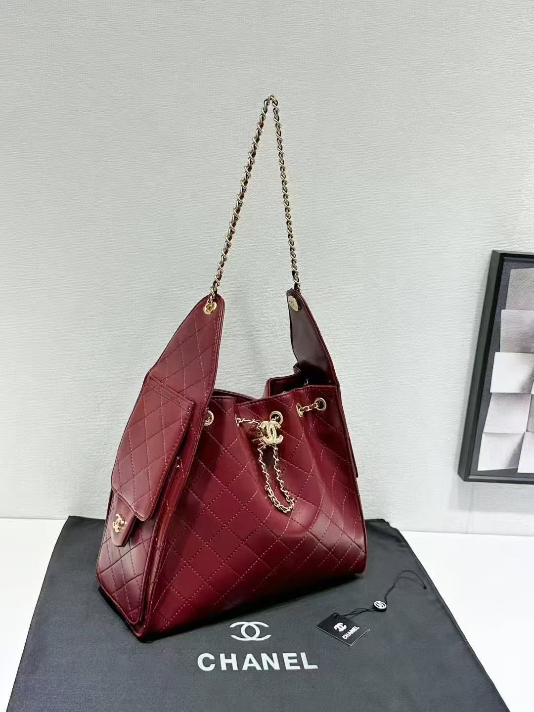 CHANEL Hobo 25 Bags