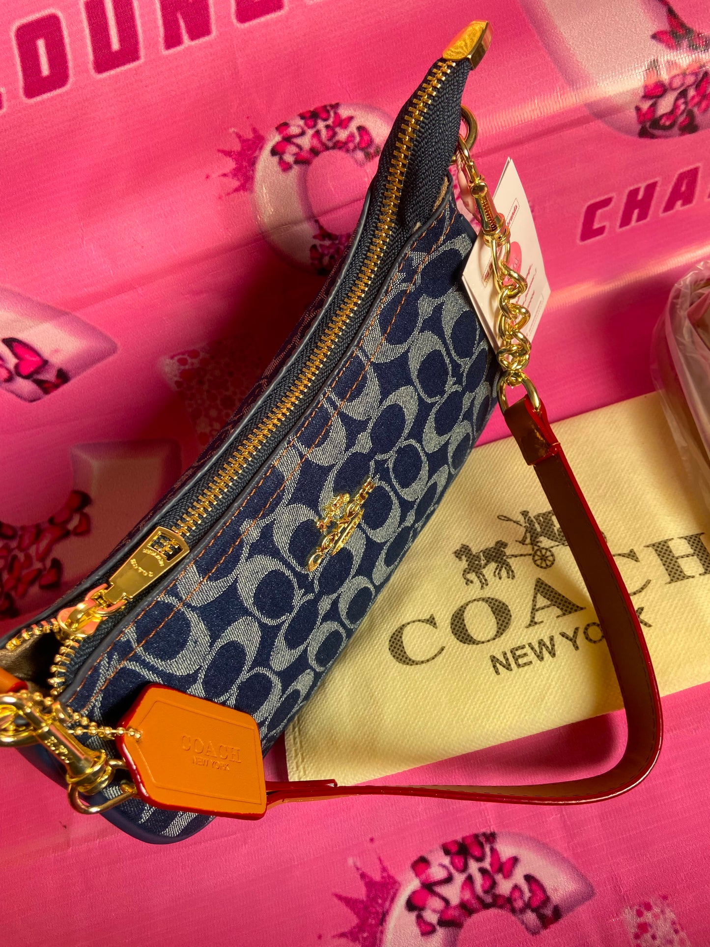 Coach Teri Shoulder Bag in Signature Denim