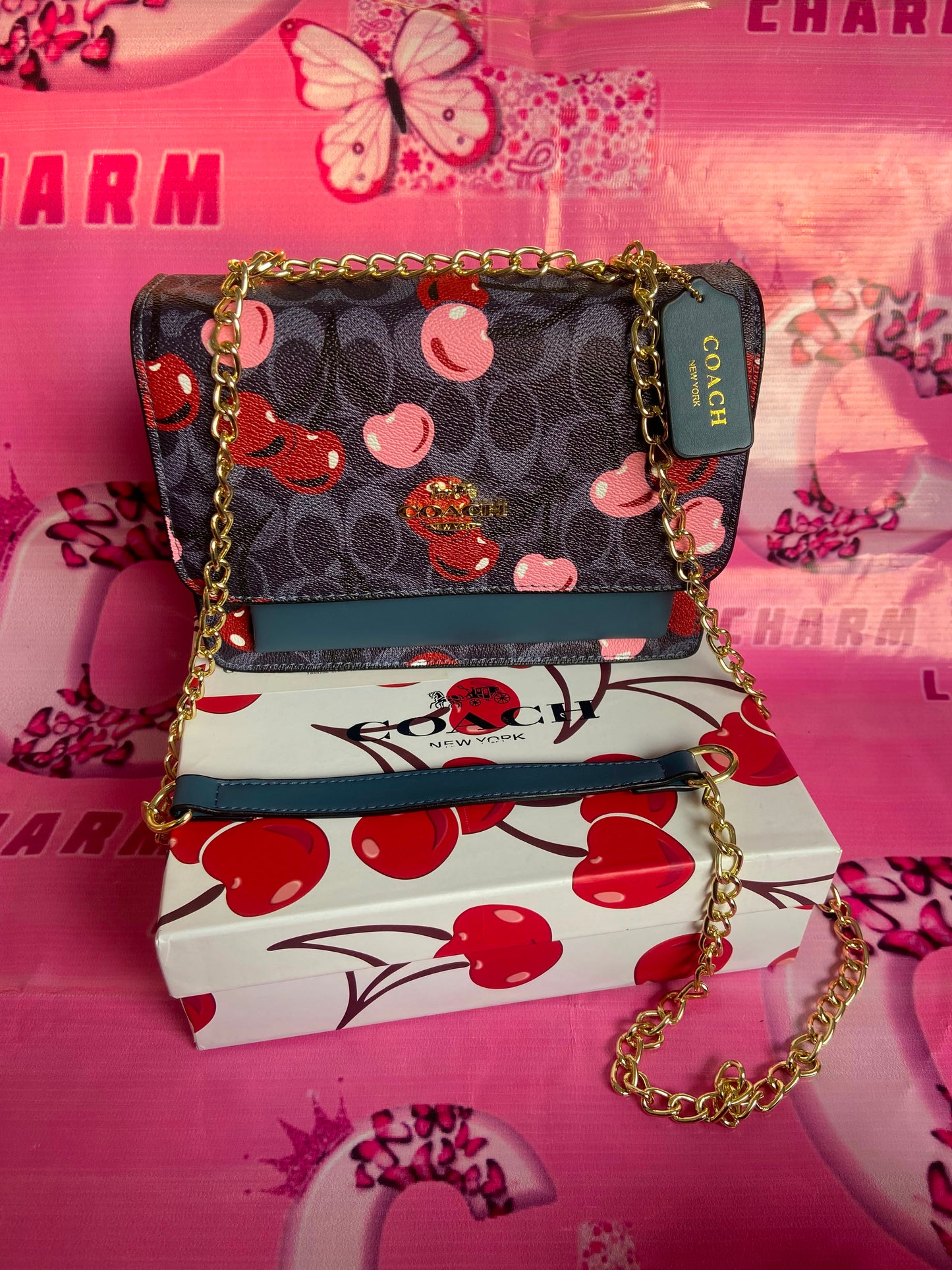 COACH Crossbody Bag