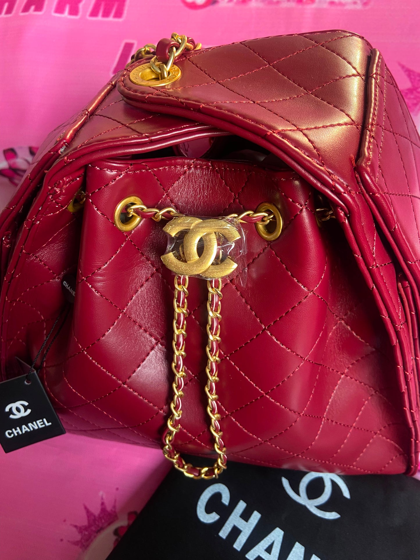 CHANEL Hobo 25 Bag