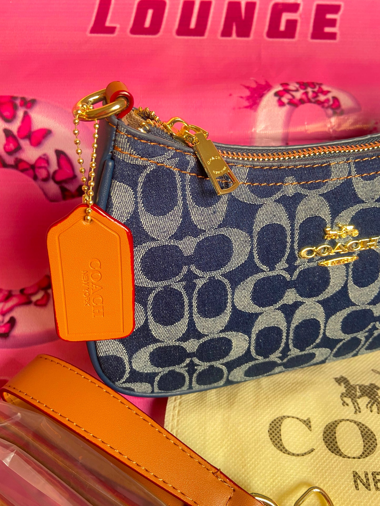 Coach Teri Shoulder Bag in Signature Denim