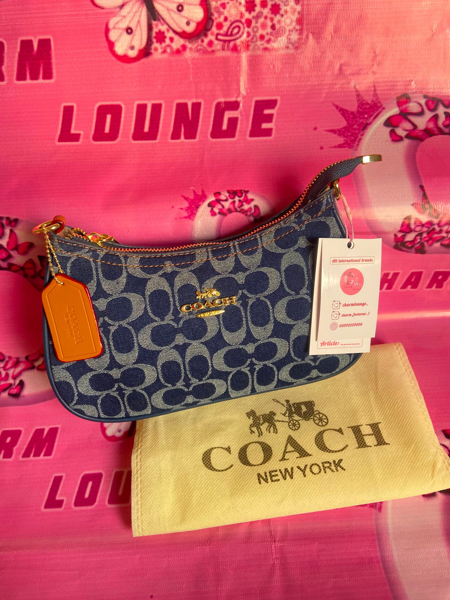 Coach Teri Shoulder Bag in Signature Denim