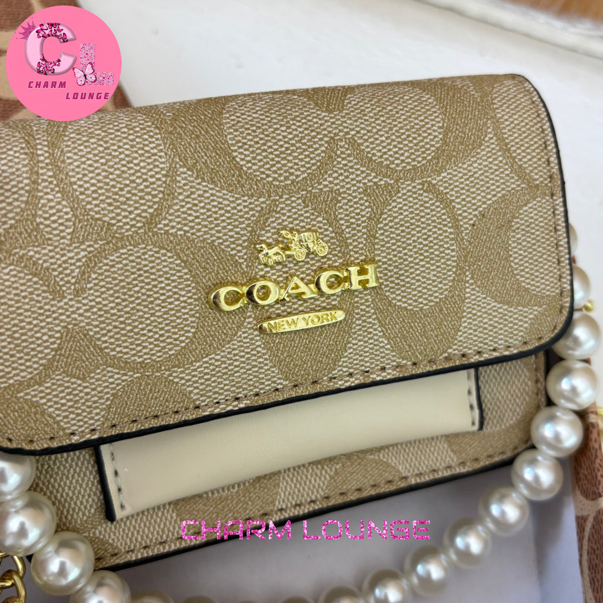 COACH Mini Bags